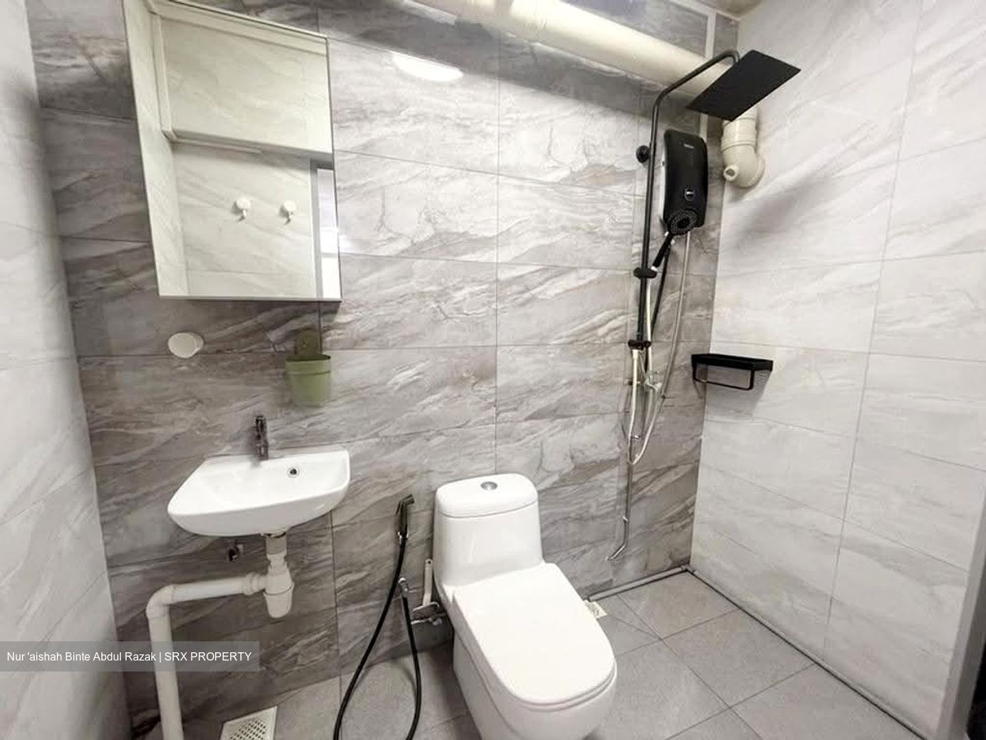 Blk 290B Spring View (Bukit Batok), HDB Executive #609215801
